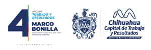 Banner 3