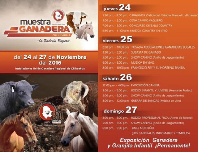 programa