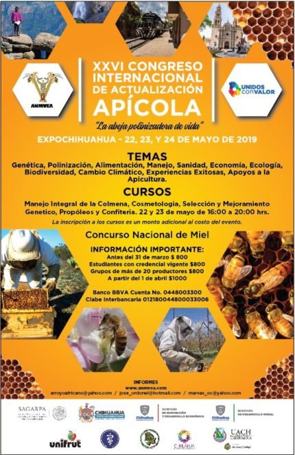 apicola2