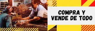 Banner 2